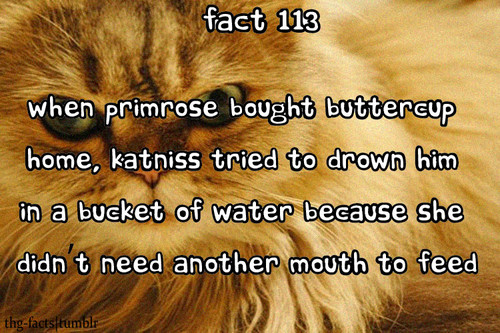 The Hunger Games facts 101-120