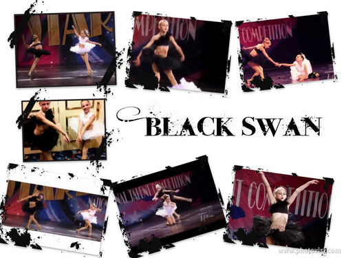  Black angsa, swan collage