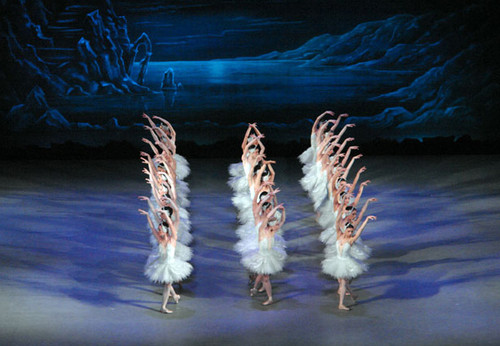  Dance of hte Swans