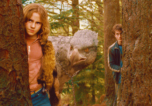 Harry, Hermione, and Buckbeak