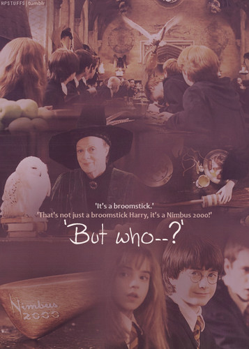  Harry Potter and Philosopher's Stone