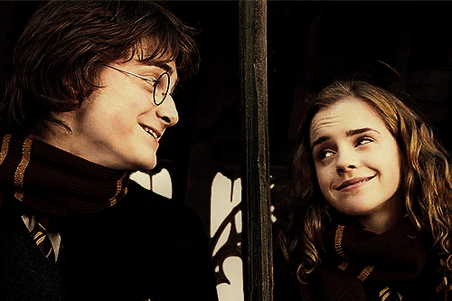  Harry and Hermione GOF