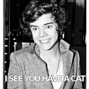  Harry sees.....