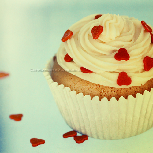  Lovely cupcake