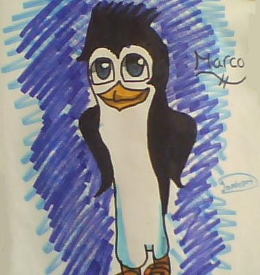  Marco the pingüino, pingüino de