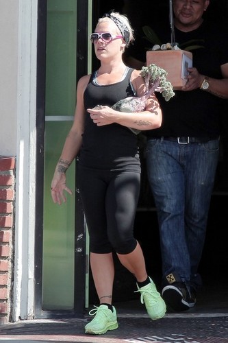 Pink Buys a Bonsai Tree [August 9, 2012]