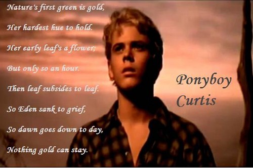  Ponyboy!...Nothing goud Can Stay...
