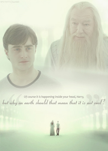  Professor Dumbledore