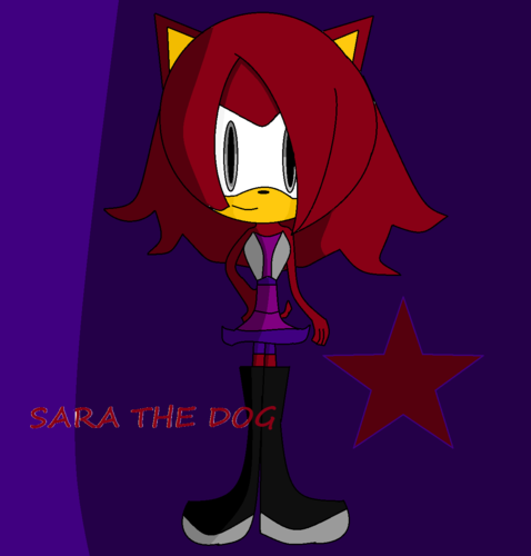  Sara the dog