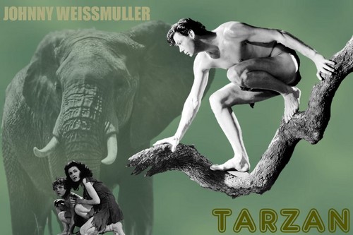  Tarzan - Johnny Weissmuller