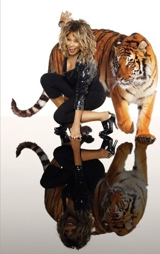  Tiger Tina