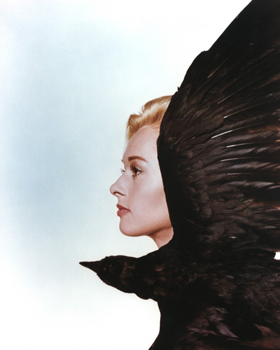  Tippi Hendren 'The Birds' 1963