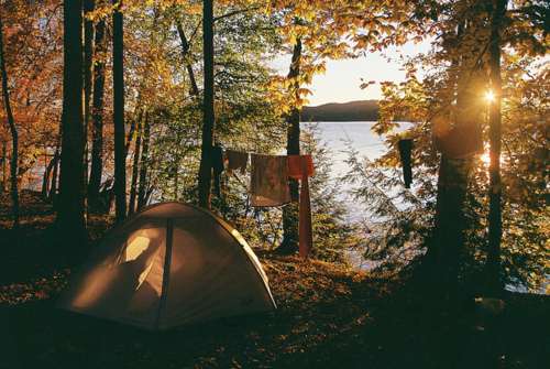  camping