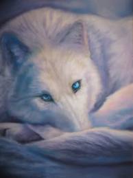  white भेड़िया