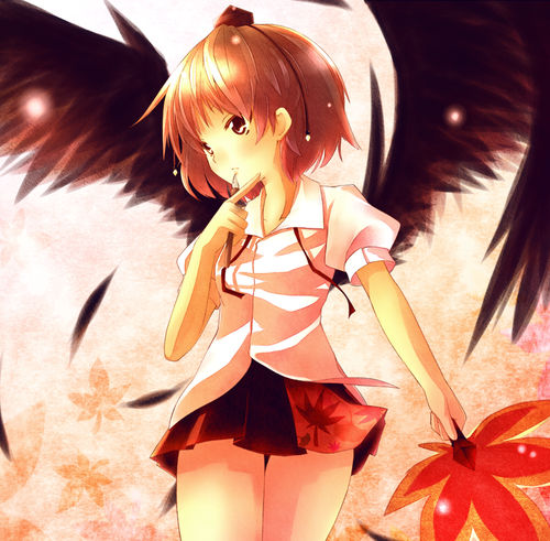  anime Wings