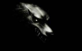  Dark serigala, wolf