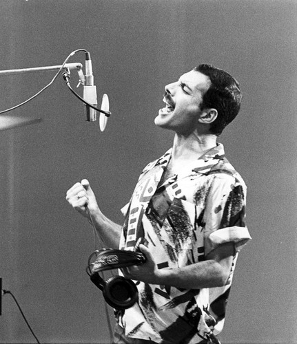 Freddie Mercury - HQ