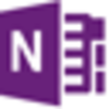 Icon for Microsoft OneNote 2013