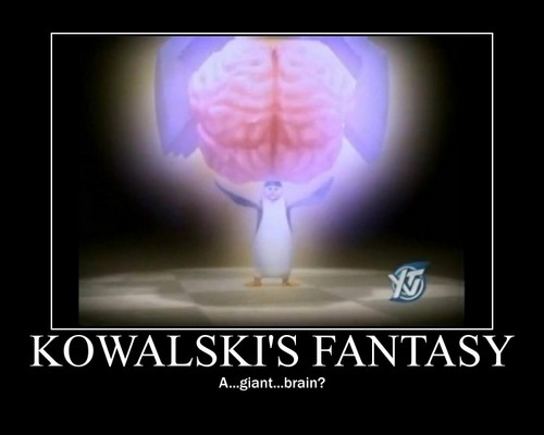  Kowalski`s fantasia