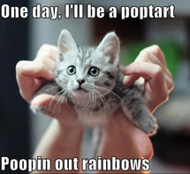  One day, I will be a Nyan Cat..