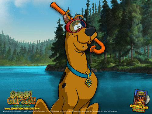 Scooby Doo Camp Scare