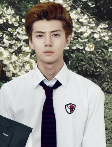  Sehun for To The Beautiful You!