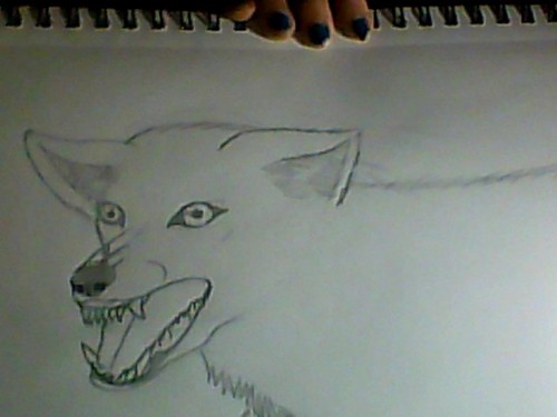  Snarling serigala, wolf