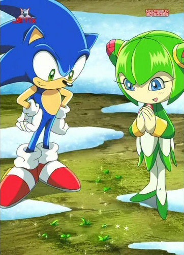  Sonic and Cosmo
