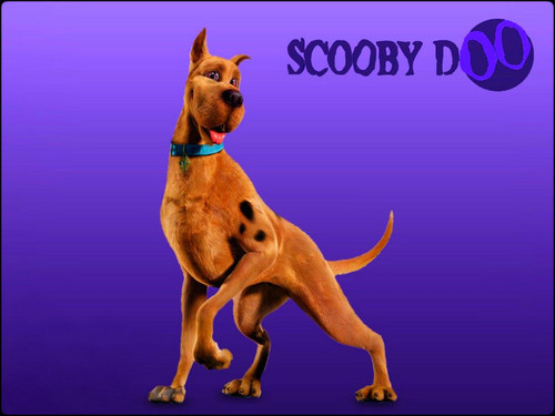  ★ Scooby ☆