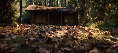  •The cabin, kibanda in the Woods•