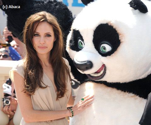  Angelina Jolie Kung Fu Panda