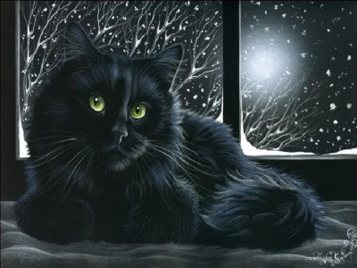  Black Cat!