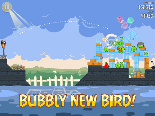  Bubbly New Bird!