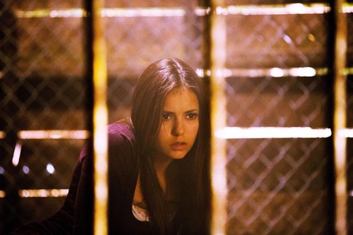  First look at Elena S4 HQ