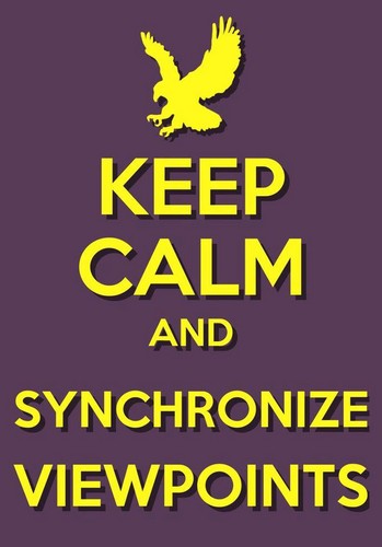  Keep Calm And Synchronize Viewpoints