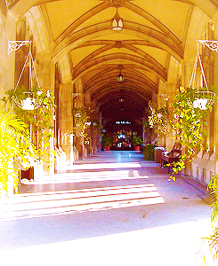  New location from City of Bones set, August 23, 2012