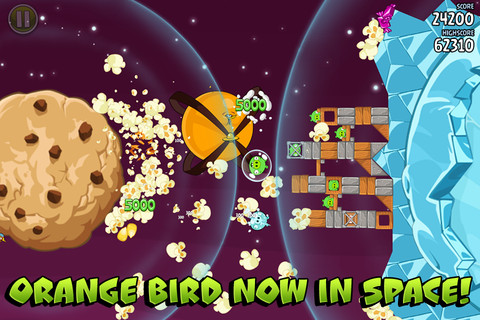 Orange Bird Now In Space!