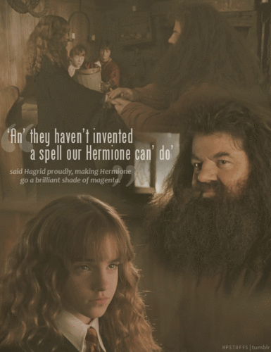  Professor Hagrid