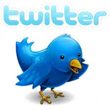  The Twitter Bird