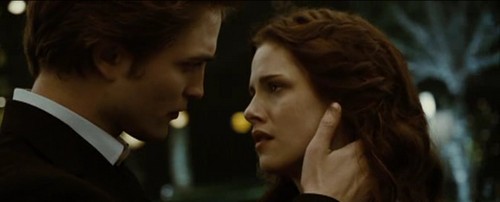  my crepusculo