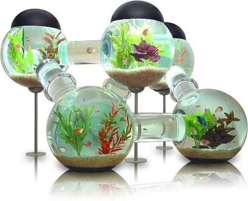  Creative مچھلی Tank