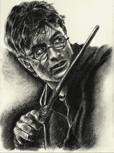 Harry Potter drawing by Jenny Jenkins