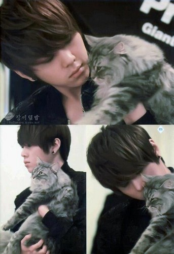  Junhyung wid his Cat