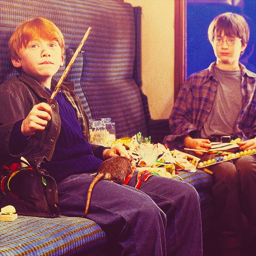  Ron & Harry