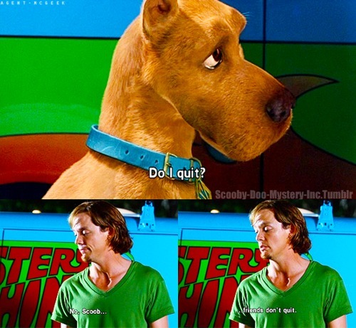 Scooby doo movie