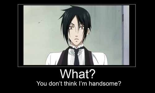  Sebastian? Not Handsome?