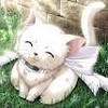 this is button: my bueatiful anime kitty! tammav5 photo