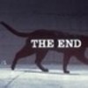 The End darkdevil photo