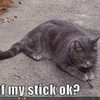 JAYFEATHER IN REAL LIFE!!!!!! (it says "i luv my stick ok?") AuthorForPooh photo