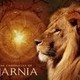 forever-narnia's photo